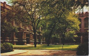 Law School And Harper Library Chicago Illinois Chrome Postcard C189