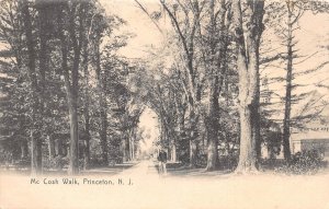 Princeton New Jersey McCosh Walk, Undivided Back Vintage Postcard U11294