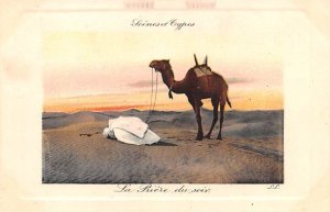 La Priere du Soir Egypt, Egypte, Africa Unused 