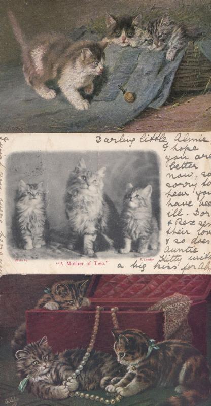 Kittens Playing With Jewellery Oilette Snail & Newly Born 3x Old Postcard s