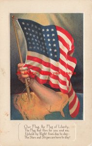 Patriotic, Flag Series No 4, Arm from the United States Holding Flag