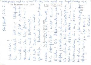 BG33973 beuerberg an der loisach cow vache  leipzig  germany