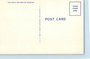 Buffalo New York NY Postcard Peace Bridge Niagara River Fort Erie Ontario c1940