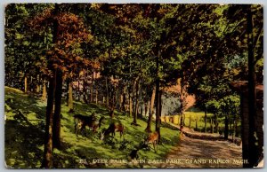 Grand Rapids Michigan 1912 Postcard Deer Park John Ball Park