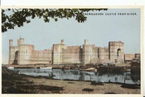 Wales Postcard - Caernarvon Castle From River - Caernarvonshire - Ref 16271A