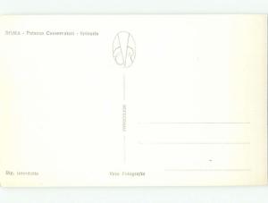 old rppc NICE VIEW Rome - Roma Italy i2878