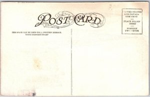 Immaculate Conception Cathedral Denver Colorado CO Parish Church Postcard