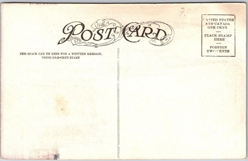 Immaculate Conception Cathedral Denver Colorado CO Parish Church Postcard