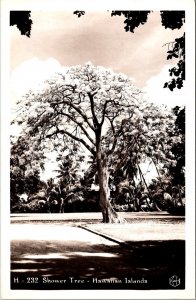 RPPC Shower Tree, Hawaiian Islands Vintage Postcard V72