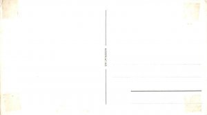 MS Bretagne DF Line Ship Postcard