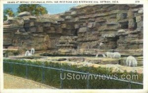 Bear at Detroit Zoological Park in Detroit, Michigan