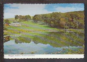 Maggie Valley NC Postcard BIN 