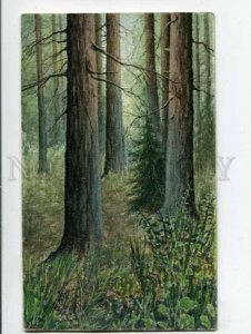 401744 RUSSIA Forest by TITOVA Vintage WATER COLOR Painted