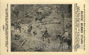 Cheyenne Canon, Colorado Springs, Co. USA Real Photo Rustic Burro & Carriage ...