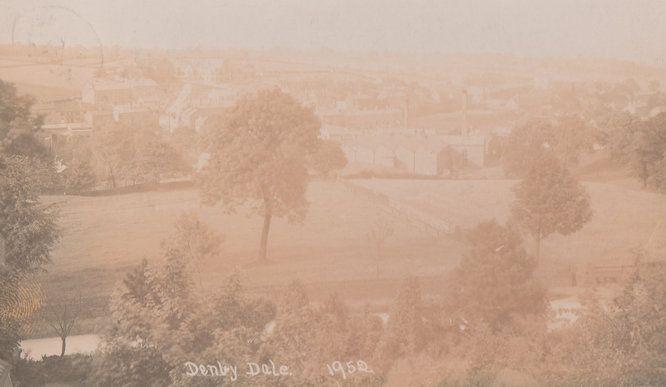 Denby Dale Woods Yorkshire Real Photo Postcard