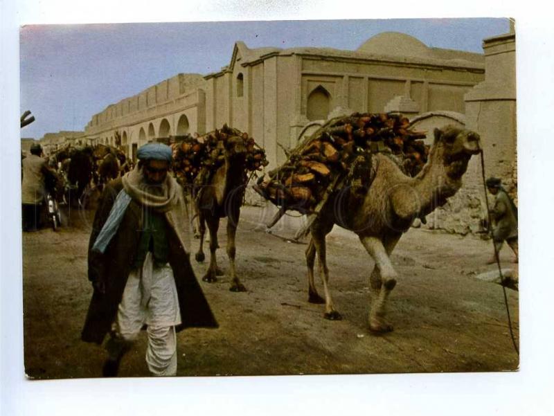 196043 AFGANISTAN KANDAHAR Holztransport Old photo postcard