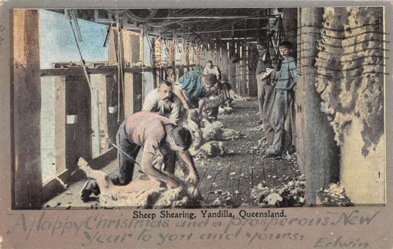 Yandilla Queensland Australia Sheep Shearing Farming Vintage Postcard AA25380