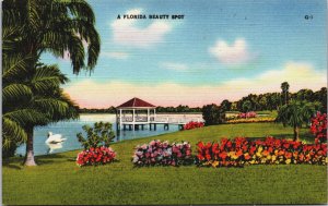 A Florida Beauty Spot Linen Postcard C088