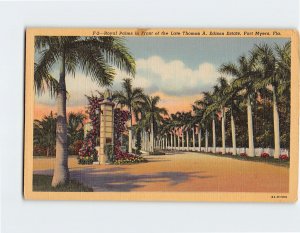 M-115554 Royal Palms Late Thomas A Edison Estate Fort Myers Florida USA