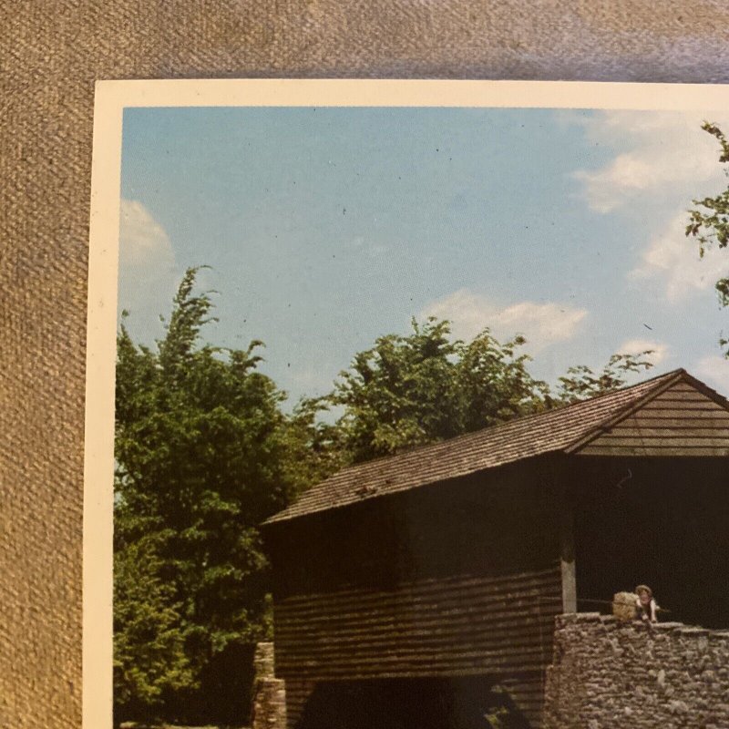 Dearborn Michigan Covered Bridge Greenfield Village Horse Carriage Postcard VTG