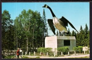 The Wild Goose,Wawa,Ontario,Canada BIN