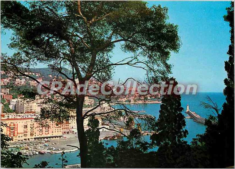 Postcard Modern French Riviera Nice Harbor View