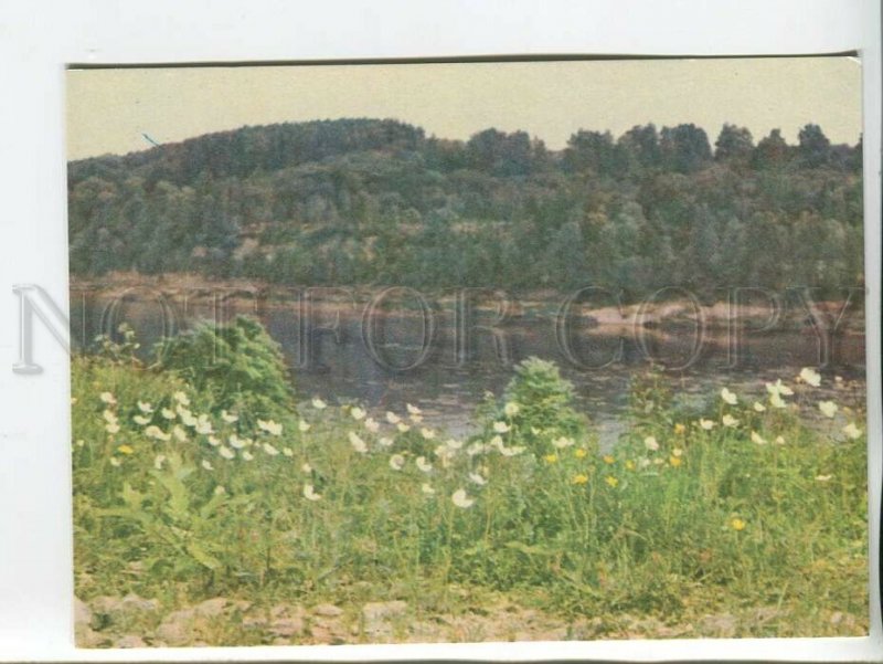 463583 USSR Latvia Daugava river Old postcard