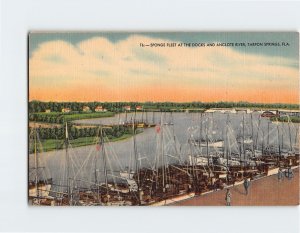 Postcard Sponge Fleet At The Docks Ang Anclote River Tarpon Springs Florida USA