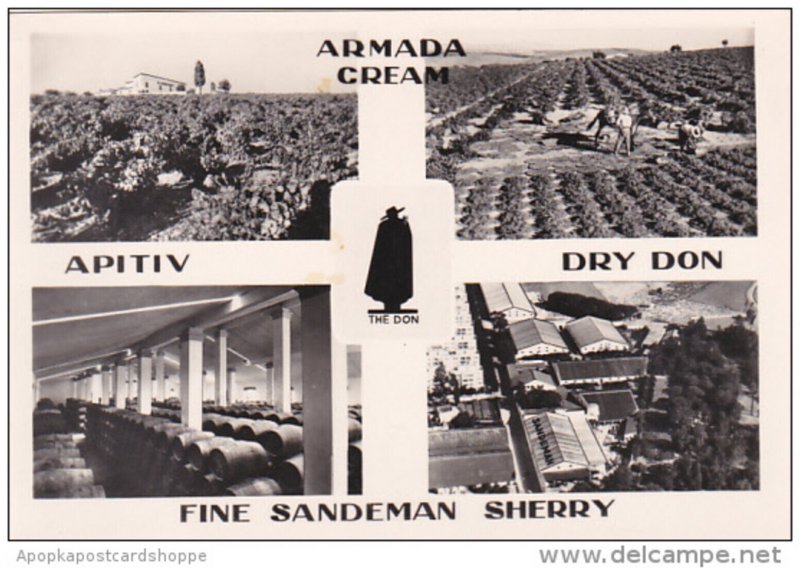 Portugal Sandeman Vineyards and Bodegas Multi View Real Photo