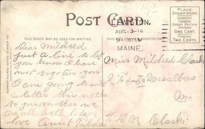 Sexy Woman Comic Married Couple Walking c1910s Postcard