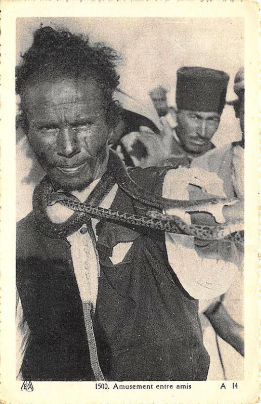 Africa Amusement entre amis Snake Handler Postcard