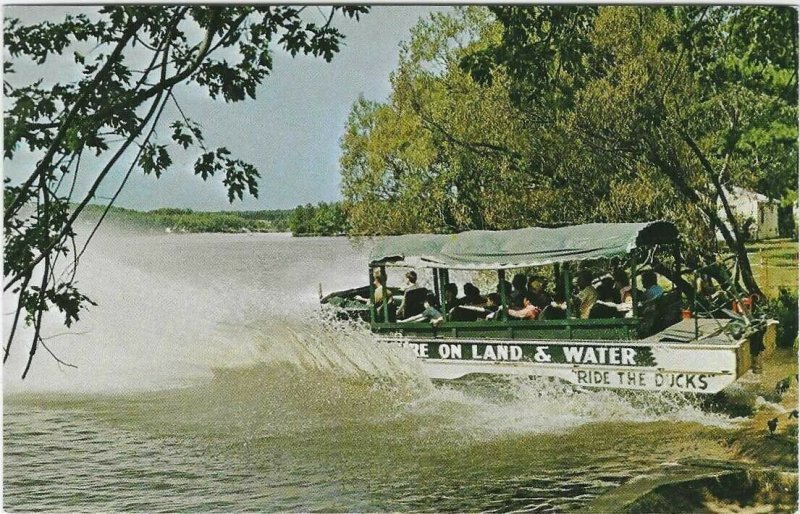 Vintage postcard, Duck entering Lake Delton, Wisconsin Dells, Wisconsin