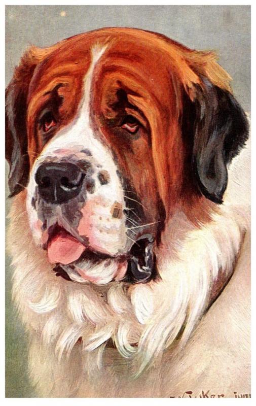 Dog    St. Bernard  artist signed