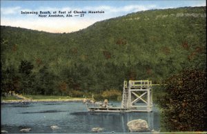 Anniston Alabama AL Cheaha Mountain Swimming Beach Vintage Postcard
