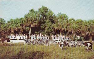 Florida Boca Raton Jeep Safari Thru Africa U S A