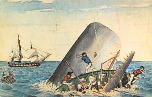 Whale Museum New Bedford Mass Whale Related Unused 