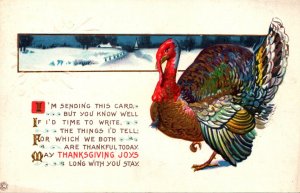 Thanksgiving Greetings With Turkey