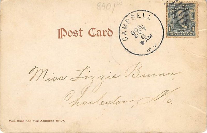 Man on roller coaster  