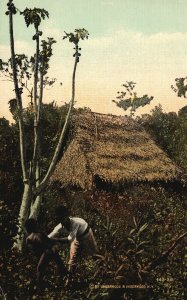 Vintage Postcard Wild Natives & Their Homes North Of Canal Interior Of Panama