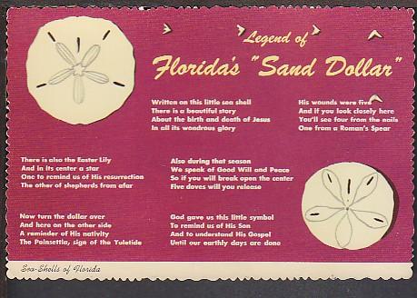 Legend of Florida's Sand Dollar Postcard BIN 