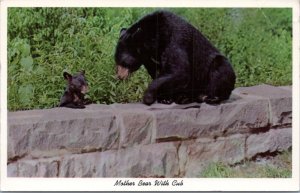 Postcard Black bear - Mother bear wit cub sitting on rck wall