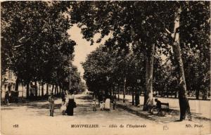 CPA MONTPELLIER - Allée de l'Esplanade (511302)