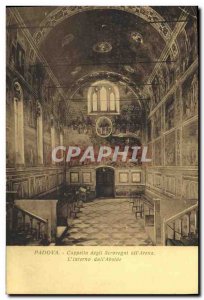 Old Postcard Padova Cappella Degli Scovegni all Interno Arena L dall Apse