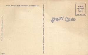 PC GOLF, W. VA, WHEELING, OGL PARK, Vintage Postcard (b45883)