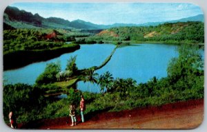 Kauai Hawaii 1950-60s Postcard Alakoke Fishpond