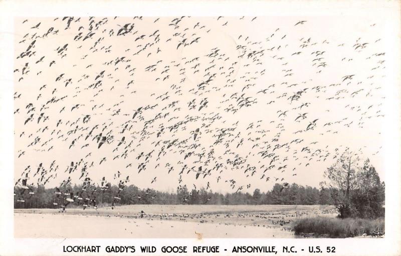 Ansonville North Carolina Goose Refuge Real Photo Antique Postcard K33391