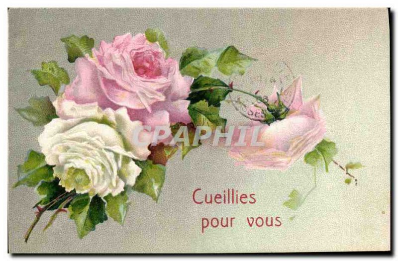 Old Postcard Fantasy Flowers