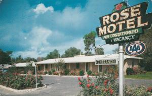 LP13  Rose Motel, Winter Haven, Florida, FL, postcard, 