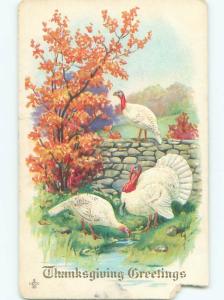Pre-Linen thanksgiving WHITE TURKEY BIRDS AT FENCE MADE OF ROCKS W7143