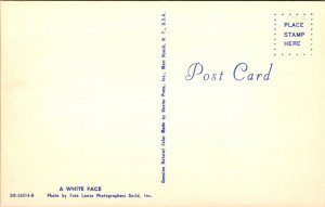 A White Face - [MX-674]